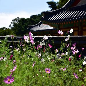 인천청소년지원