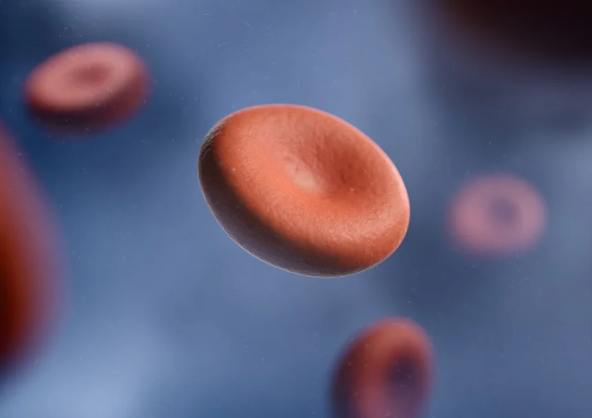 Blood type