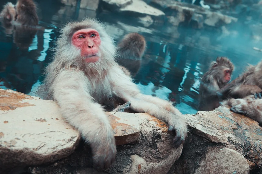 Onsen